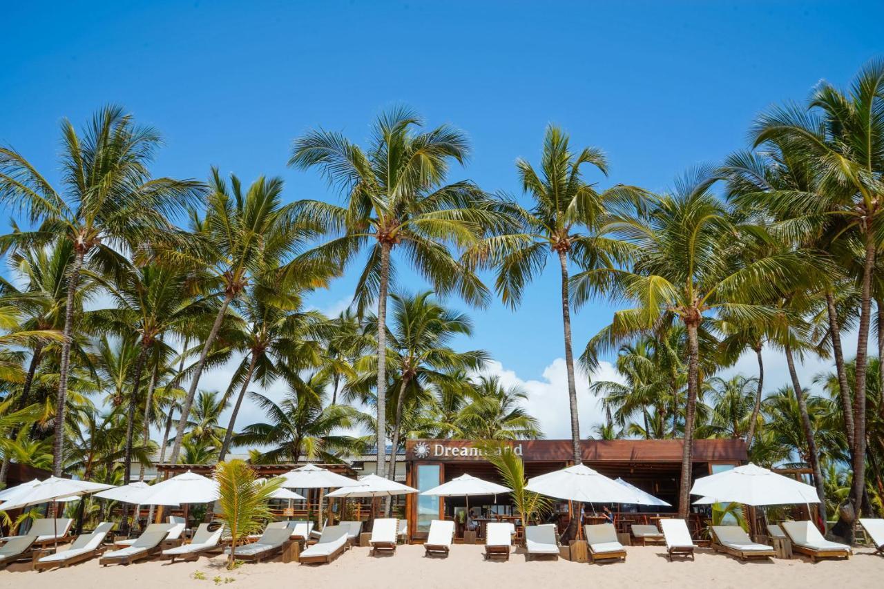 Dreamland Bungalows - Taipu De Fora - Barra Grande エクステリア 写真